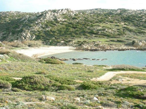 Villetta Cenni Santa Teresa Gallura Ngoại thất bức ảnh
